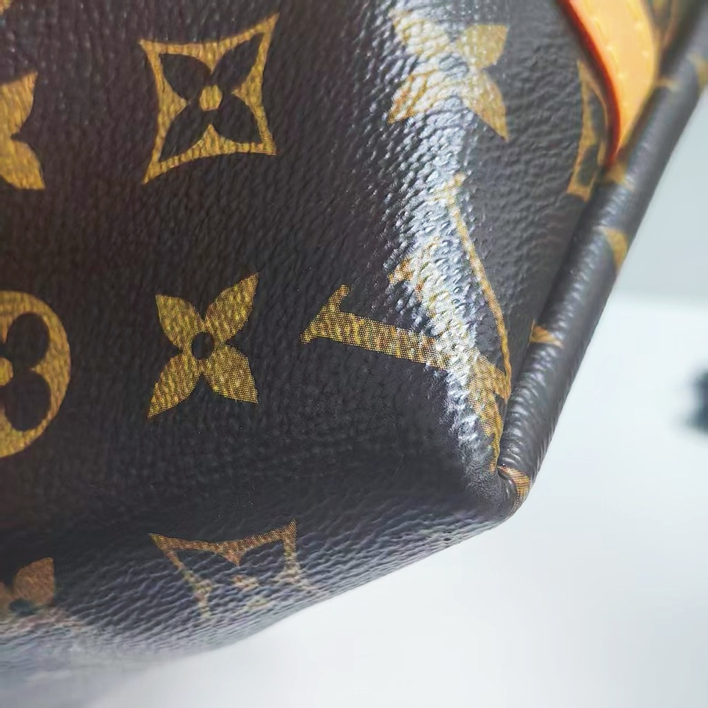 Louis Vuitton Monogram Canvas Carryall PM Bag - Picture 8 of 12